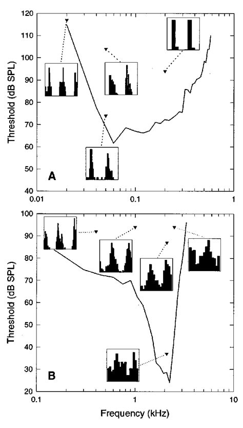 Image result for Phase Locking Auditory System