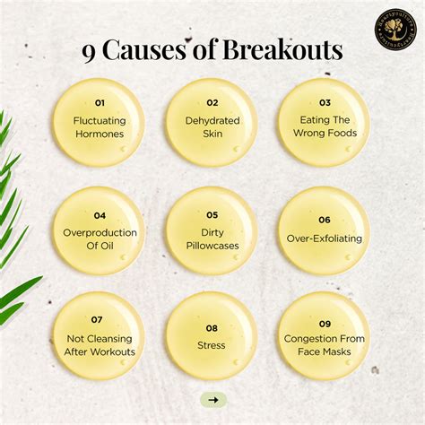 Heartyculture Tea Tree Essential Oil - 10 ml