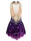 Figure Skating Dress Women's Girls' Ice Skating Dress Outfits Violet ...