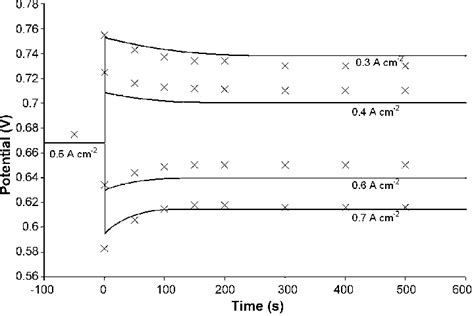 Image result for Dynamic Cell Progress