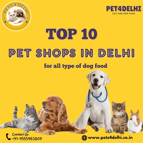 Top 10 Pet Shops in Delhi, India | Online Pet Store in Delhi