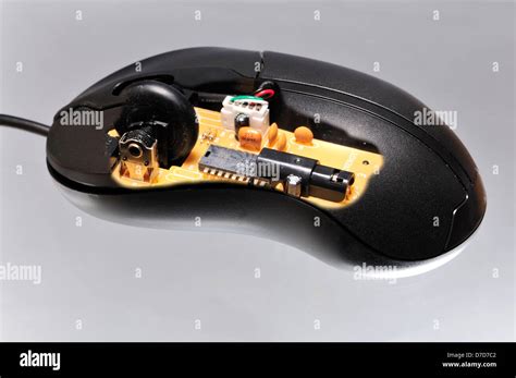 Image result for Part of Computer Mouse
