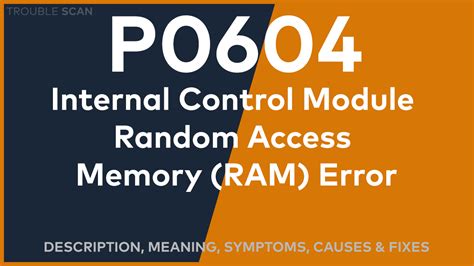 Image result for Trouble Code P0406