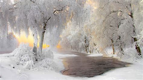 Bing Wallpaper Winter Scenes 的图像结果