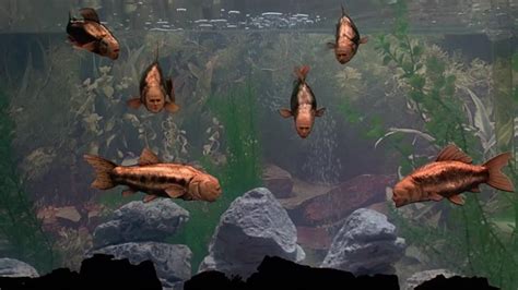 Image result for Monte Python Fish