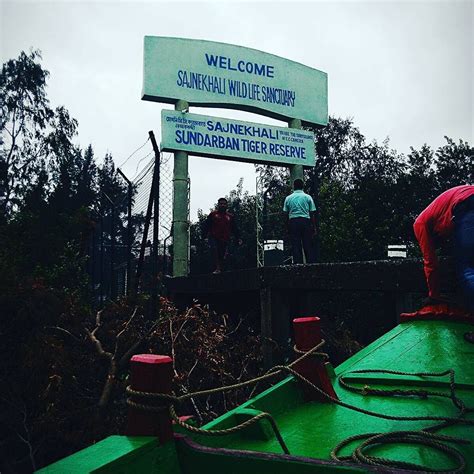Sajnekhali Wildlife Bird Sanctuary: Information | Timings | Prices ...
