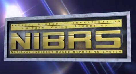 How to Use NIBRS 的图像结果