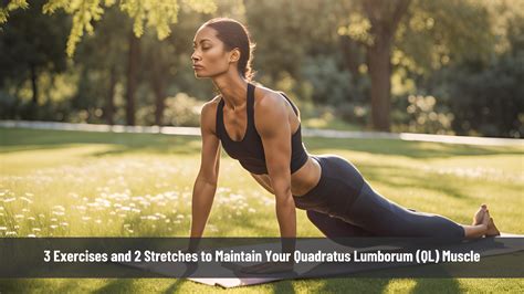 3 Exercises and 2 Stretches to Maintain Your Quadratus Lumborum (QL ...