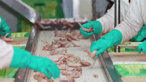 Esto es lo que ganan las polleras que operan en Georgia y las multas ...