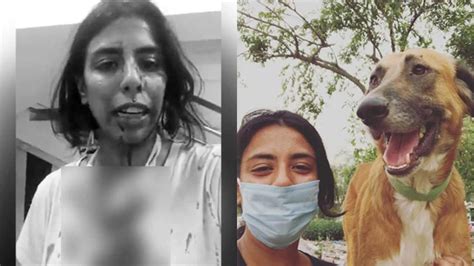 Out to catch dogs, NGO staff thrashed by locals