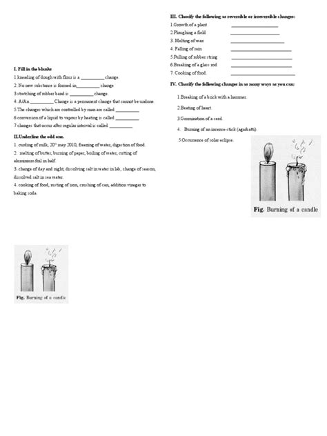 Image result for Grade 6 Science