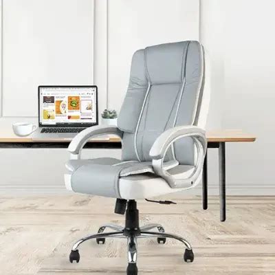 15 Best Chairs for Work from Home in India [August, 2024]