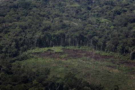 Colombia trabaja para superar los 1.000 millones de dólares en comercio ...