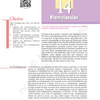 NCERT Textbook: Biomolecules - Chemistry Class 12 - NEET PDF Download