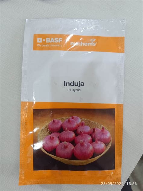 Buy Indrina F1 Hybrid Onion (BASF Nunhems) Seeds Online | Farmers Stop