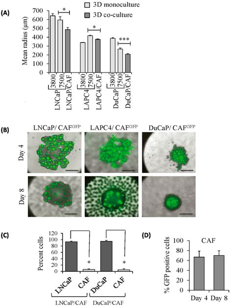 IJMS | Special Issue : Advances in Molecular Oncology