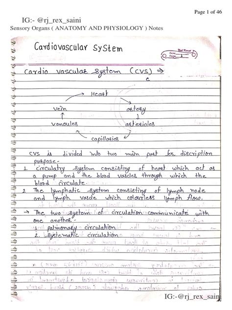 Image result for Cardiovascular System and Function Notes
