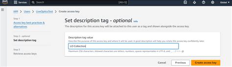 Live Optics | Amazon Web Services | Create a temporary AWS IAM user for ...