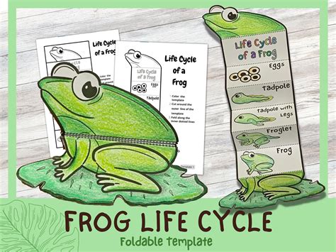 Froglet Coloring Page