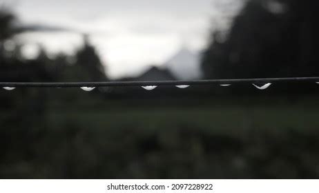 Drizzle 的图像结果