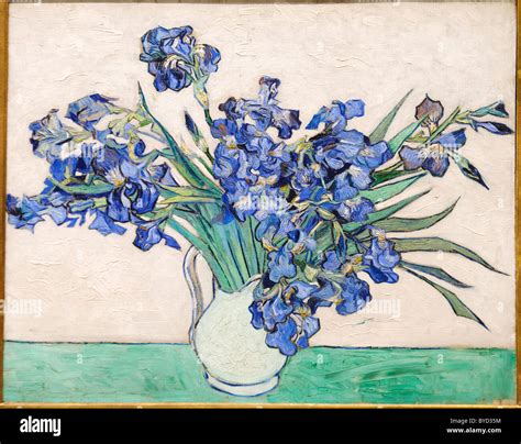 Irises, 1890, by Vincent van Gogh Stock Photo - Alamy
