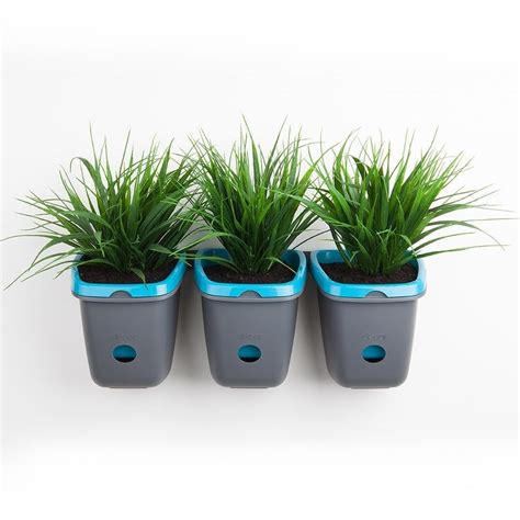 Products If You Want A Break From Adulting