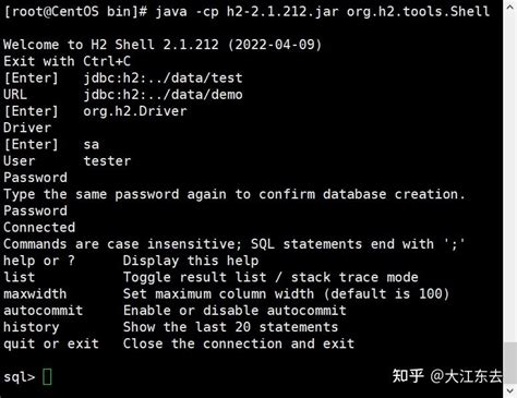 Java Connect to H2 DB in Linux 的图像结果