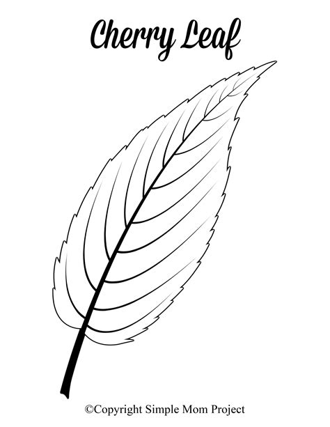 Free Printable Large Leaf Templates, Stencils and Patterns | Leaf ...