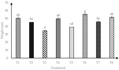 The Effects of Rice Husk Biochar Rate on Arbuscular Mycorrhizal Fungi ...