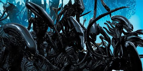 Image result for Alien Xenomorph Life Cycle
