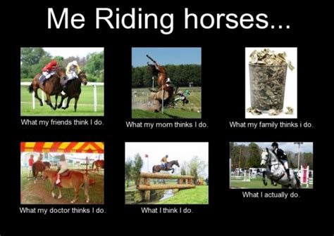 99 Selective Horse Memes - Funny Pictures – DesiComments.com