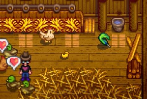 Stardew Valley Duck Feather Guide - SDew HQ
