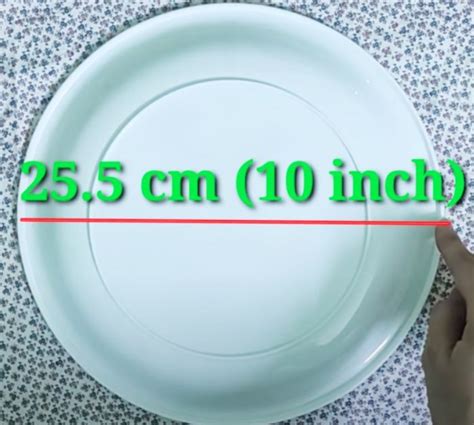 Homemade Mask Using Plate for Pattern 的图像结果