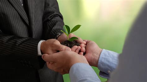 Environmental Technology Examples 的图像结果