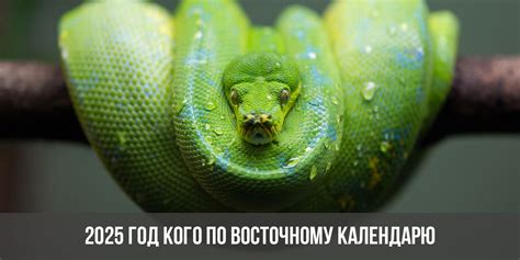 Чей год 2025 по восточному календарю: какого животного, кого