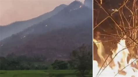 Highest number of forest fires raging in Odisha now