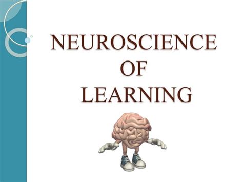 Neuroscience Lesson 的图像结果