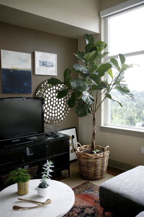 Image result for Salon Computer Programs