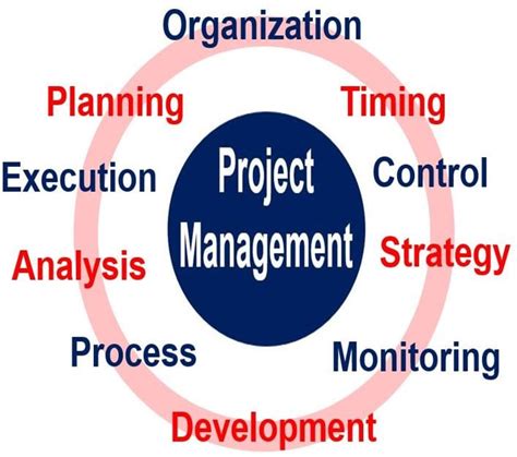 Project Management Definition 的图像结果