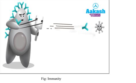 Acquired immunity: Definiton, Types of Immunity and Practice Questions ...