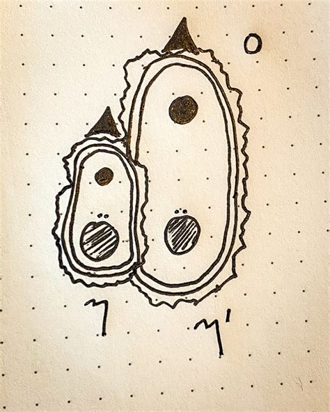 Image result for ETA Prime Raspberry Pi