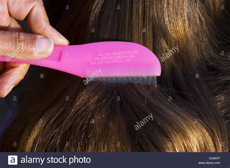 Image result for Nit Comb