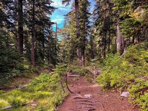 Guide to the Stunning Blanca Lake Hike in Washington