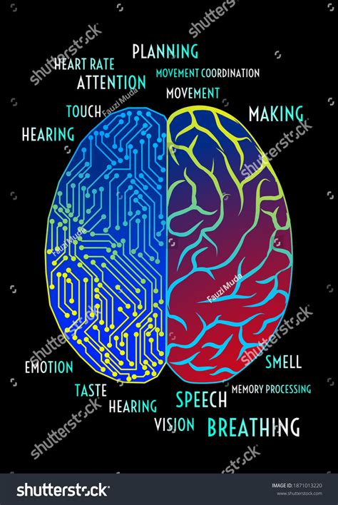 Intelligence 的图像结果