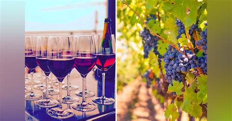 See, Swirl & Sip Wines At The Grape Escapade Festival In Goa | LBB