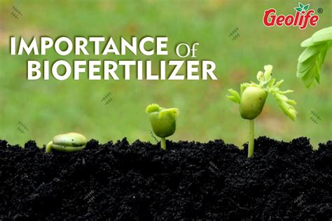 What Is Importance Of Biofertilizer ? – Geolife Shop