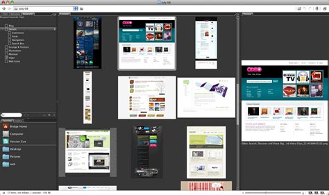 Image result for Tutorial for Adobe Bridge