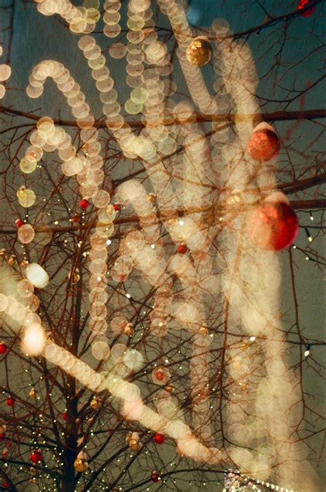 Image result for Colorful String Lights