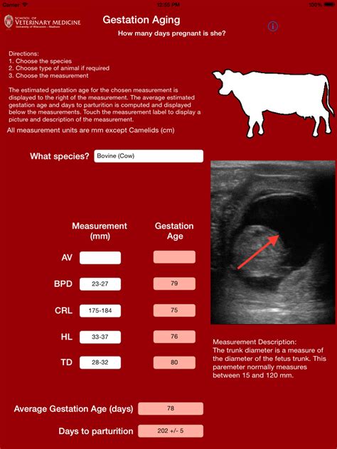 Gestation Period For Animals Chart