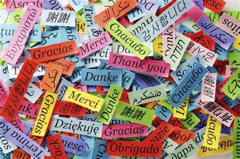 调查：匈牙利学生为何讲不好外语？